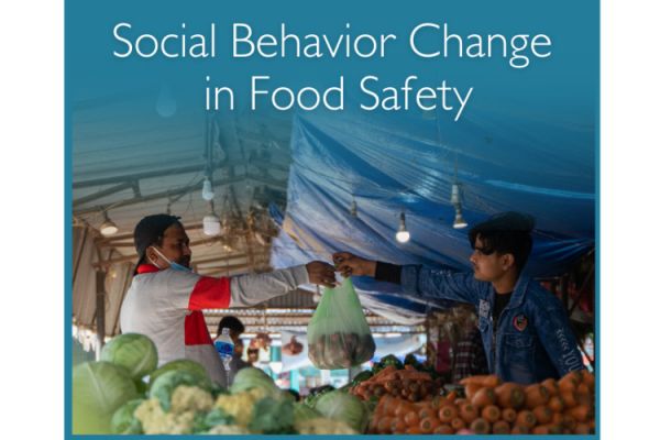 Social Behavior Change in Food Safety: Levers to Drive Food System Transformation